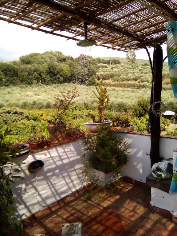Masseria Sparano Villa Battipaglia Dış mekan fotoğraf