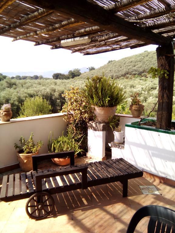Masseria Sparano Villa Battipaglia Dış mekan fotoğraf